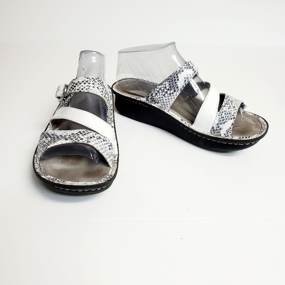 ALEGRIA SNAKE PRINT SANDAL